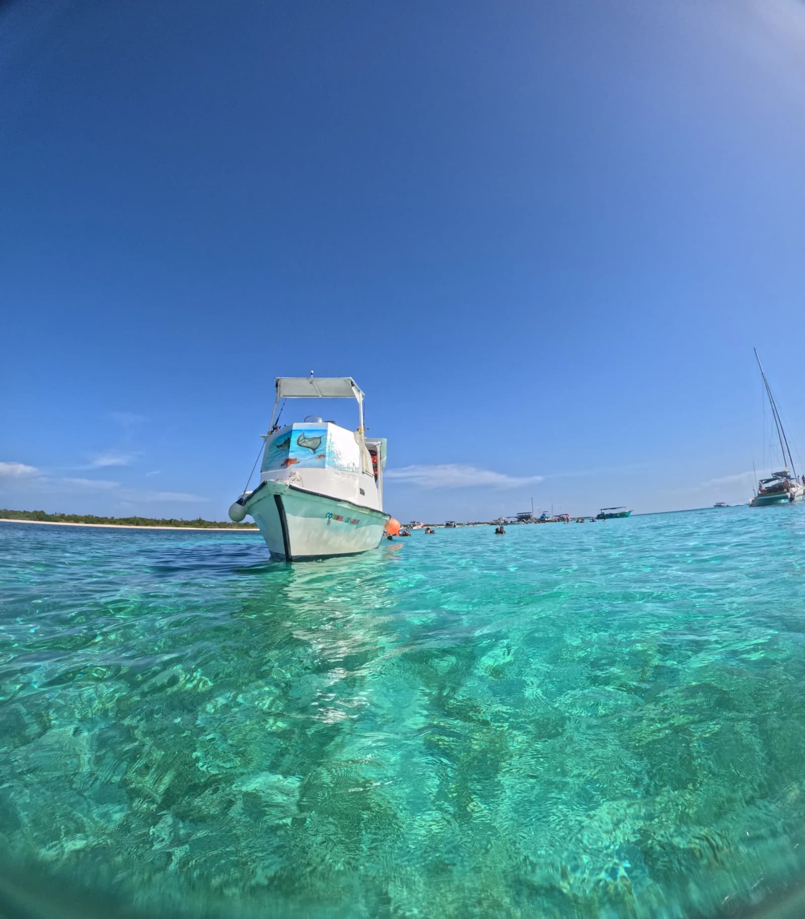 Caribe Explorer 2